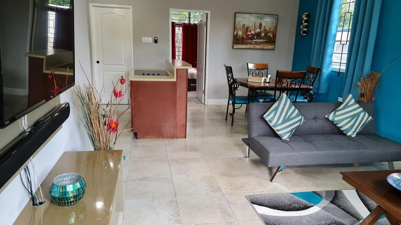 Casa Pinto Guest Apartment 킹스톤