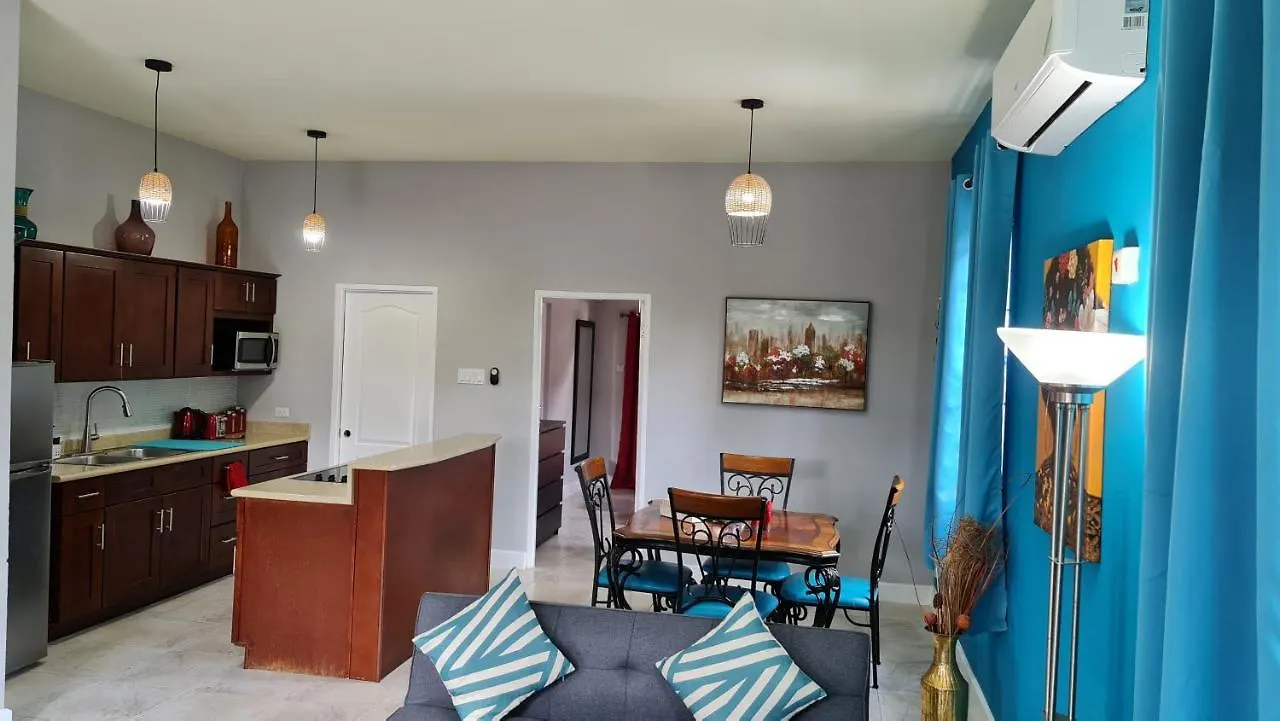 Casa Pinto Guest Apartment 킹스톤